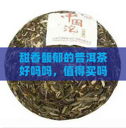 甜香馥郁的普洱茶好吗吗