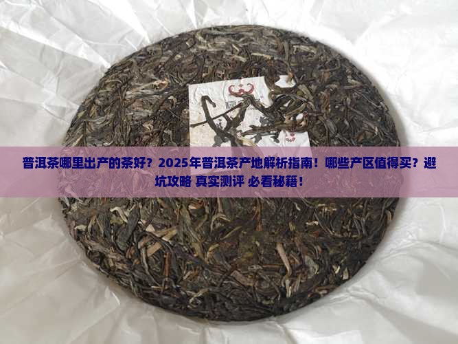 普洱茶是哪里出产的茶好