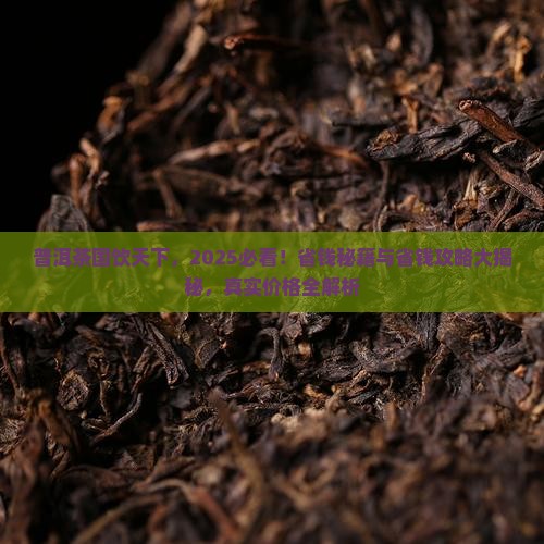 普洱茶国饮天下多少钱