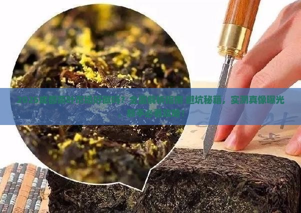 成都茶叶市场好做吗