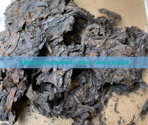 氨基酸普洱茶怎么样