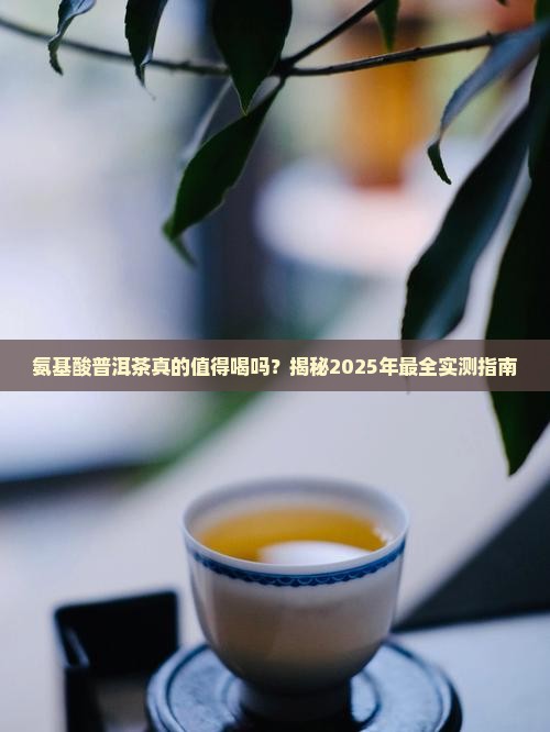 氨基酸普洱茶怎么样