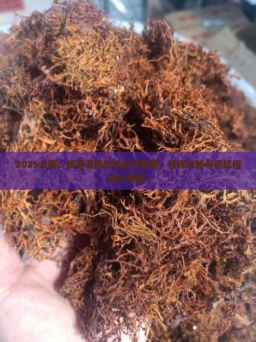 怎么搜普洱茶的价格