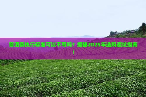 普洱茶执行标准可以不写吗