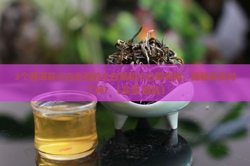 普洱茶中的大白菜和小白菜