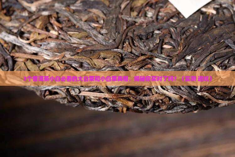 普洱茶中的大白菜和小白菜