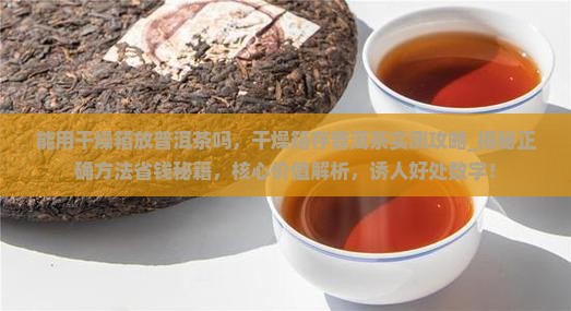 能用干燥箱放普洱茶吗