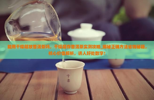 能用干燥箱放普洱茶吗