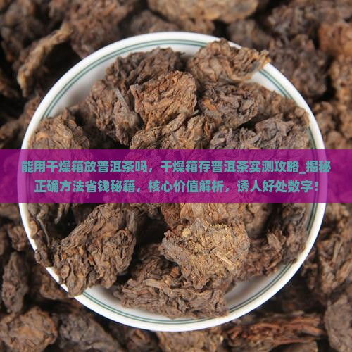 能用干燥箱放普洱茶吗