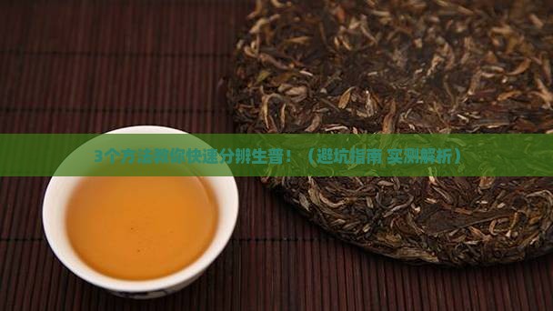 普洱茶怎么分辨生普