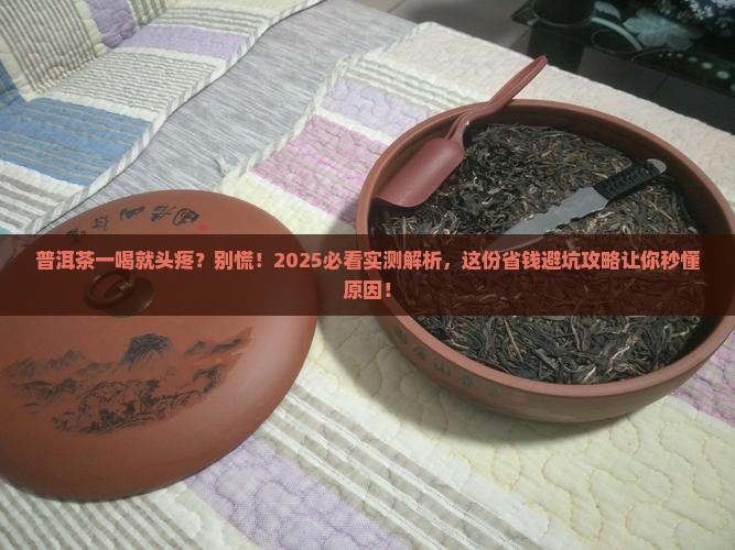 为什么我喝了普洱茶头疼