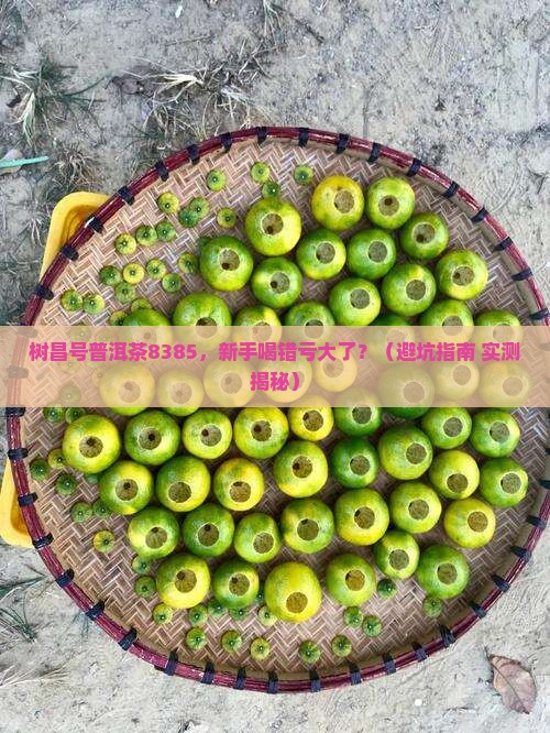 树昌号普洱茶8385