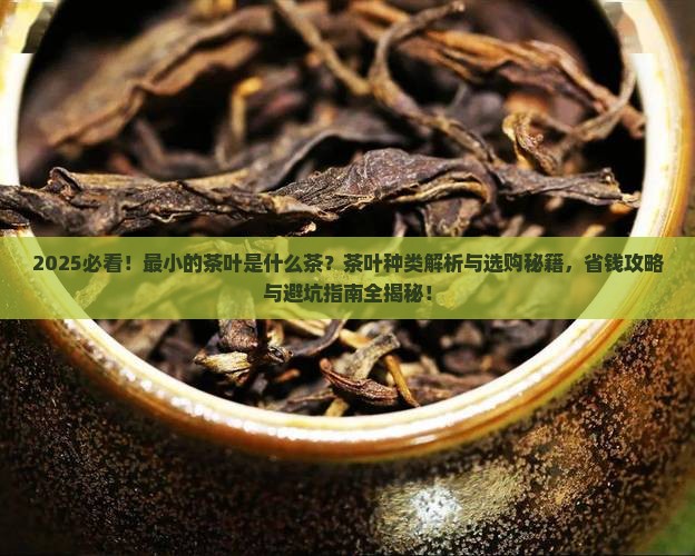 最小的茶叶是什么茶