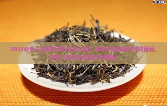 最小的茶叶是什么茶