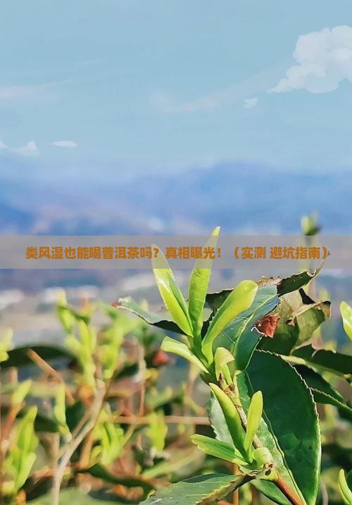 类风湿也能喝普洱茶吗