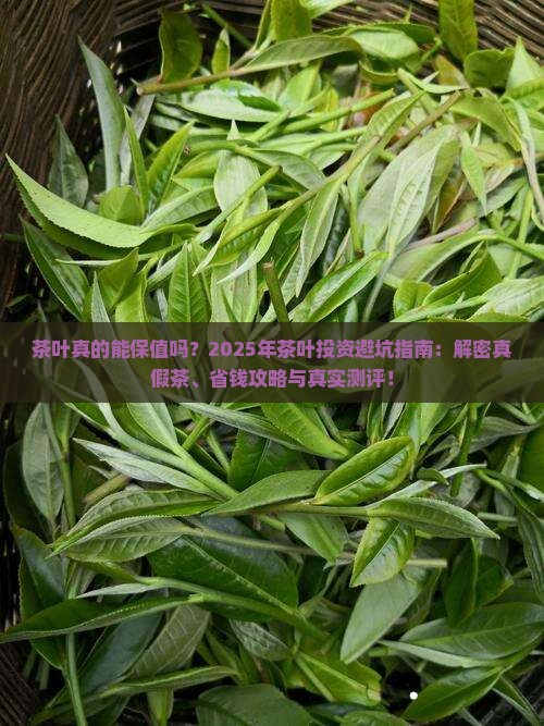 拟定一份关于茶叶的合同