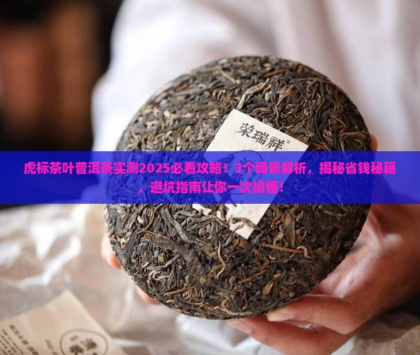 虎标茶叶普洱茶
