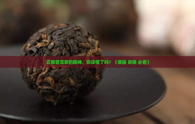 云南普洱茶的眼神