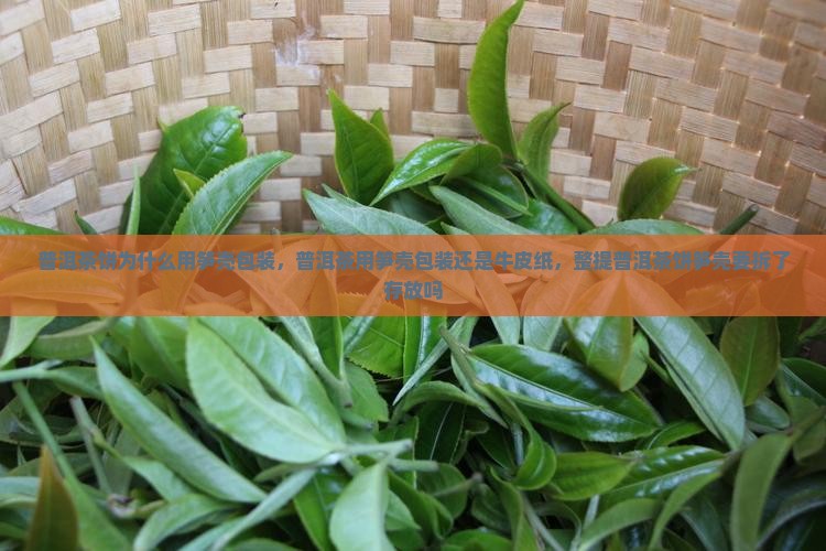 普洱茶饼为什么用笋壳包装