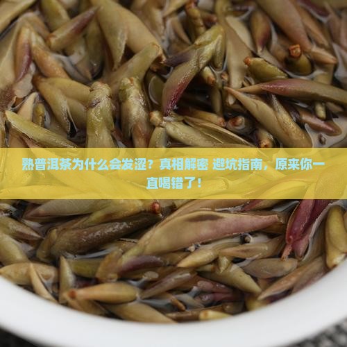 熟普洱茶为什么会发涩