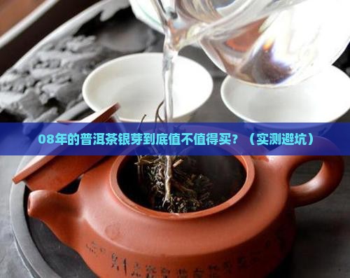 08年的普洱茶银芽