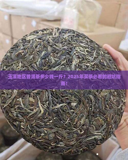 玉溪地区普洱茶多少钱一斤