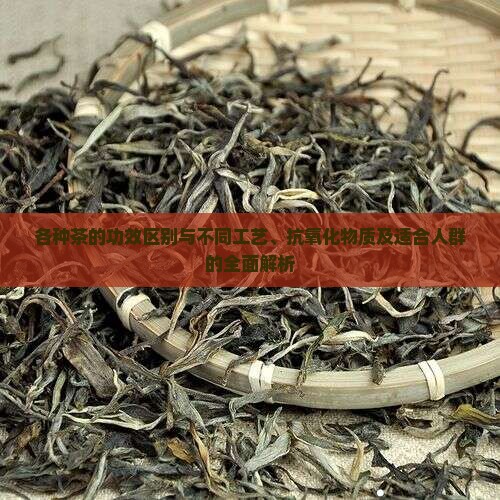 各种茶的功效区别
