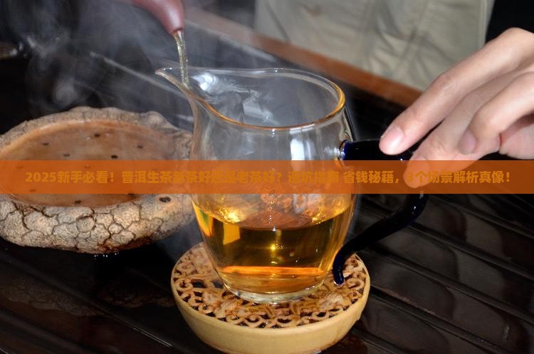 普洱生茶新茶好还是老茶好