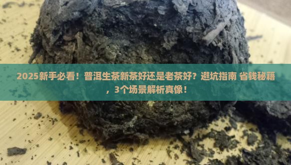 普洱生茶新茶好还是老茶好