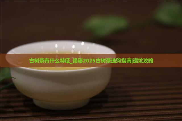 古树茶有什么特征