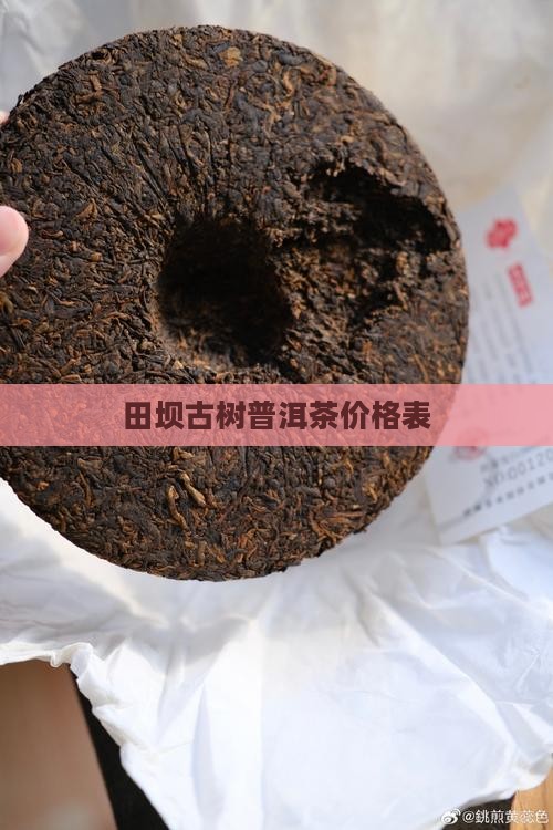 田坝古树普洱茶价格表