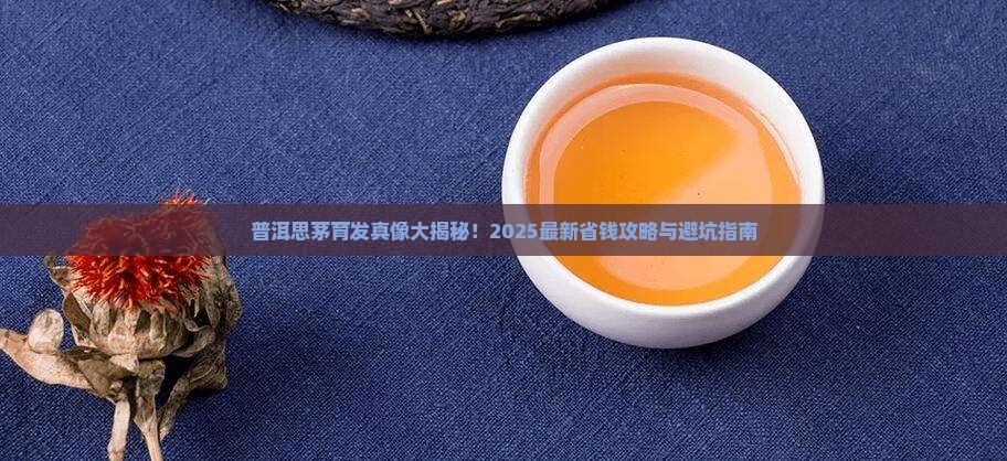 普洱思茅育发在哪里