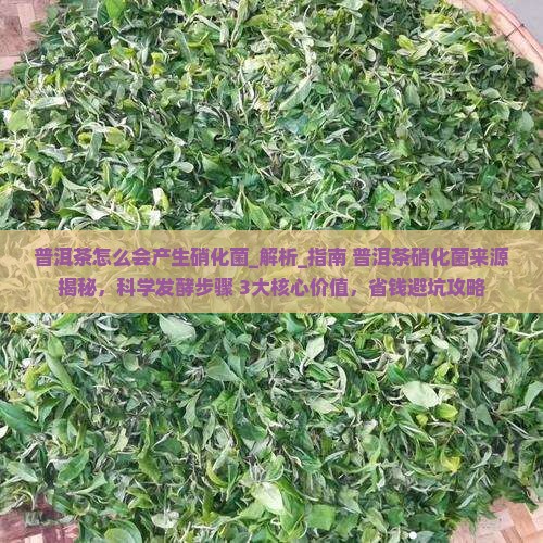 普洱茶怎么会产生硝化菌
