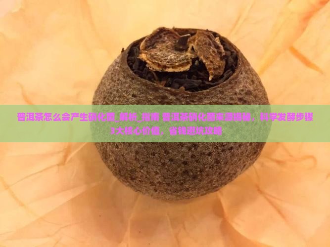 普洱茶怎么会产生硝化菌