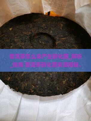 普洱茶怎么会产生硝化菌