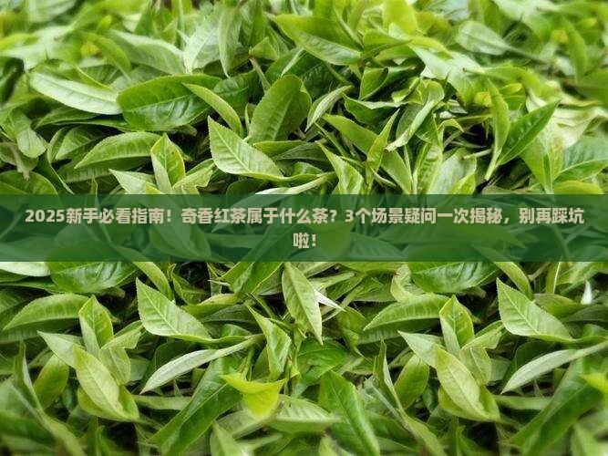 奇香红茶属于什么茶