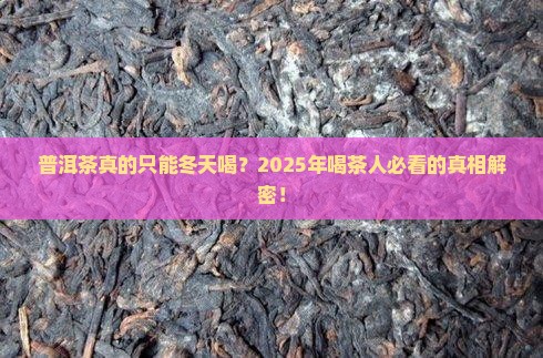 普洱茶只适合冬季喝吗