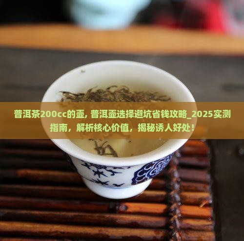普洱茶200cc的壶
