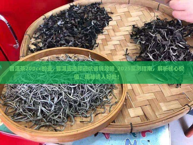 普洱茶200cc的壶