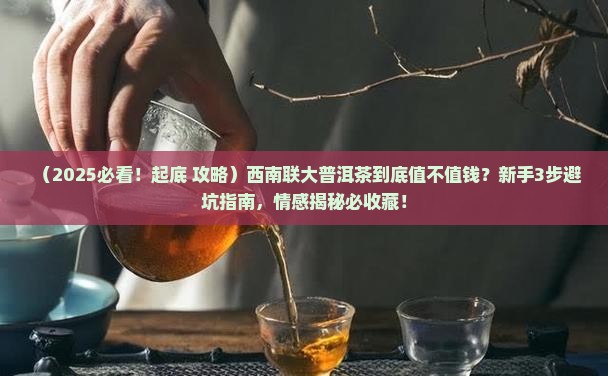 西南联大普洱茶