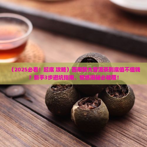 西南联大普洱茶