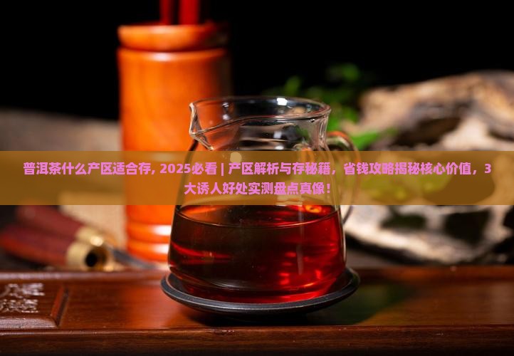 普洱茶什么产区适合存