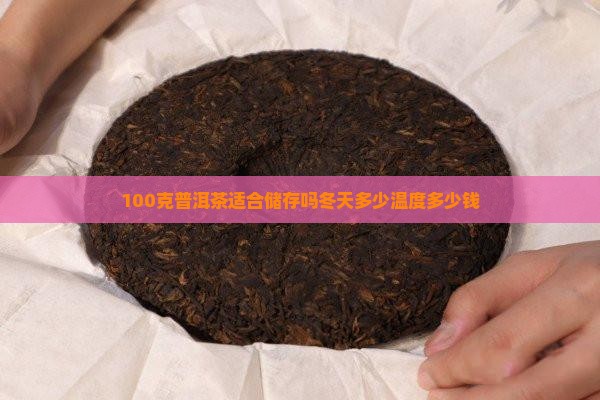 100克普洱茶适合储存吗
