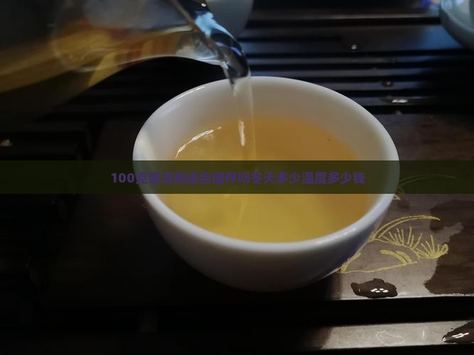 100克普洱茶适合储存吗