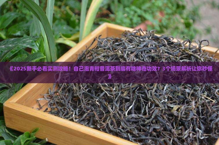 自己泡青柑普洱茶功效和作用
