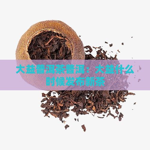 大益什么时候发布新茶