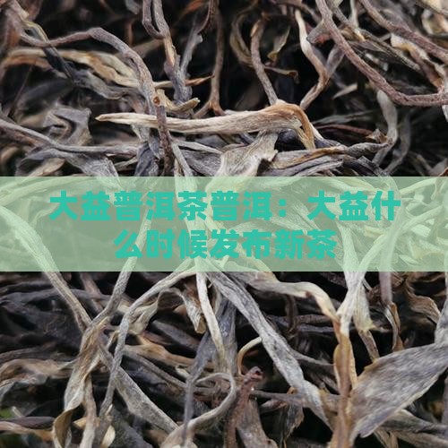 大益什么时候发布新茶