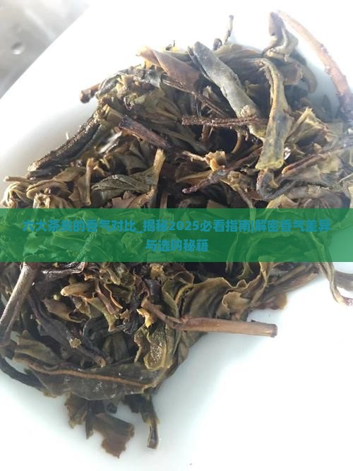 六大茶类的香气对比