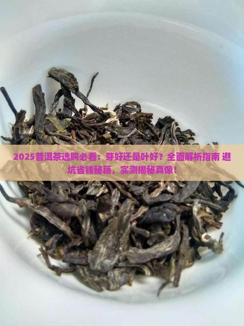 普洱茶的芽好还是叶好