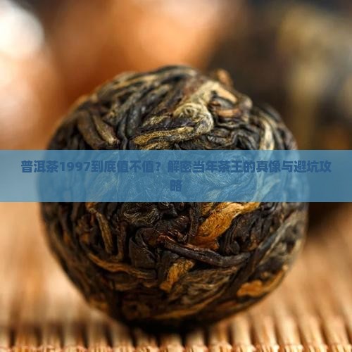 普洱茶1997